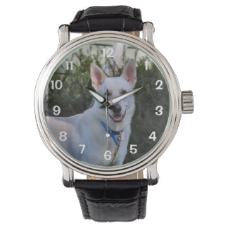 Ghost Watch