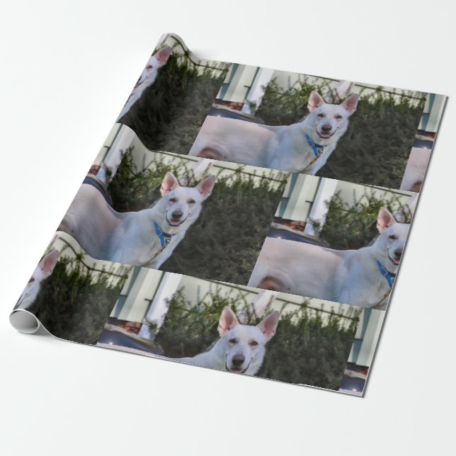 Ghost Wrapping Paper (Unrolled)