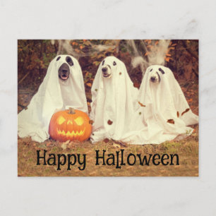 Ghostie Pups Happy Halloween Postcard