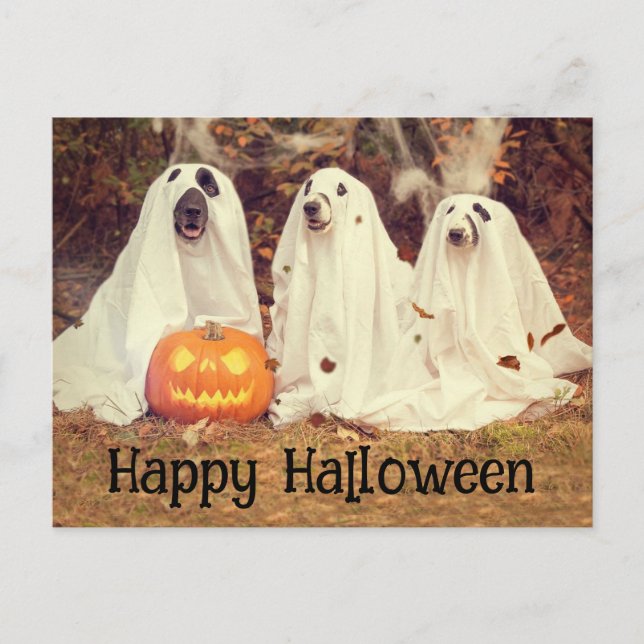 Ghostie Pups Happy Halloween Postcard (Front)