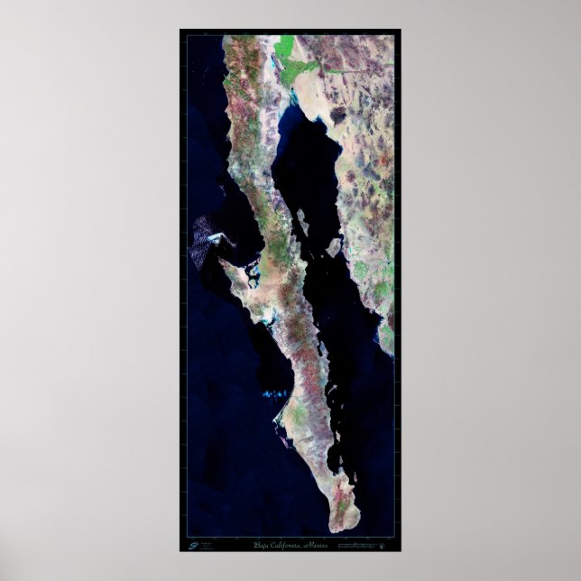 Giant 29"x68.5 Baja California satellite poster (Front)