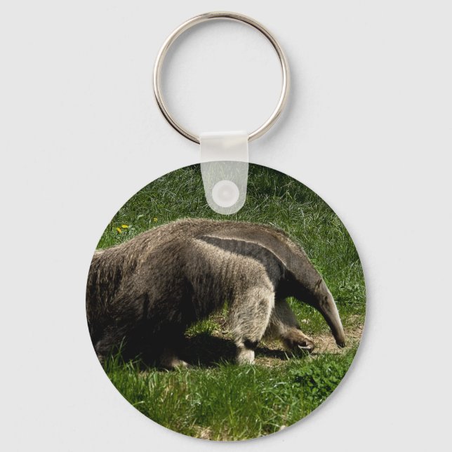 Giant Anteater Keychain (Front)