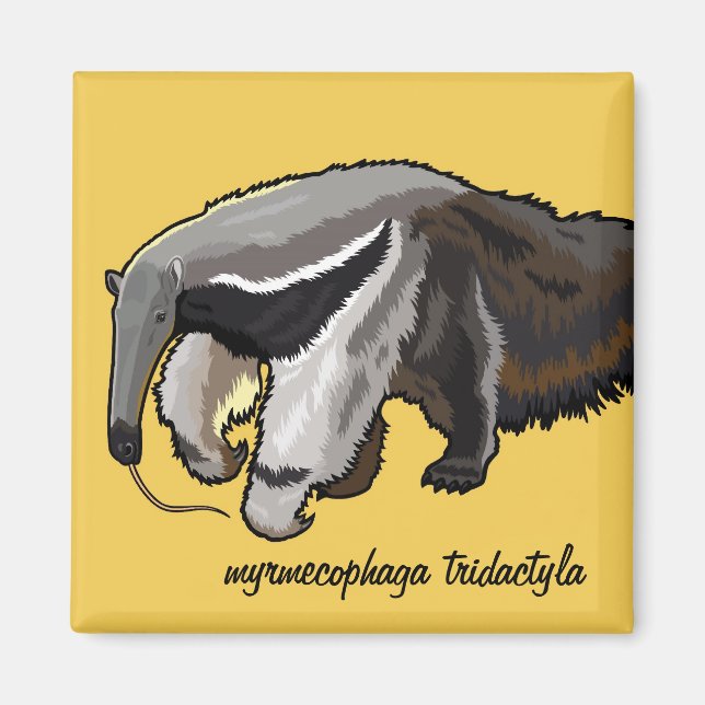giant anteater magnet (Front)