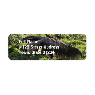 Giant Anteater Return Address Label