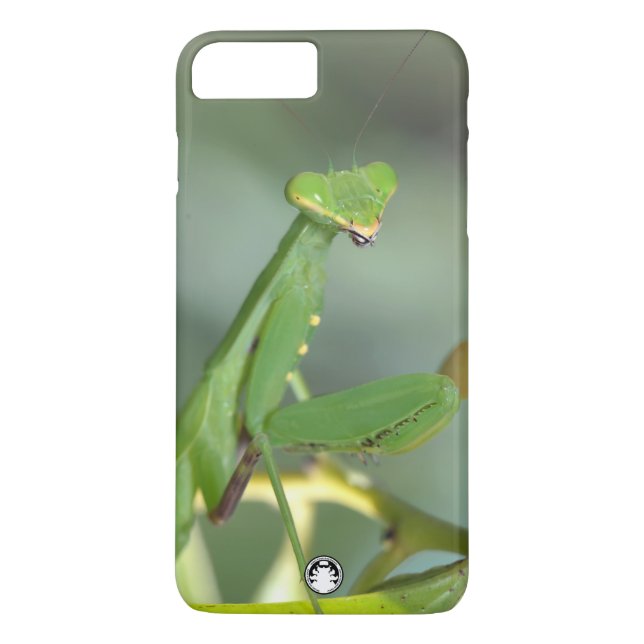 Giant Asian Mantis Case-Mate iPhone Case (Back)