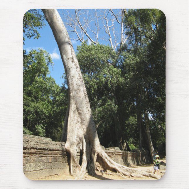 Giant Banyan Tree ... Ta Prohm Temple, Cambodia Mouse Pad (Front)