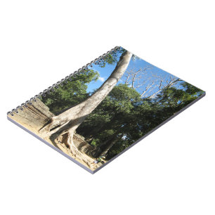 Giant Banyan Tree ... Ta Prohm Temple, Cambodia Notebook