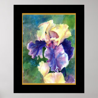 Giant Bearded Iris Poster