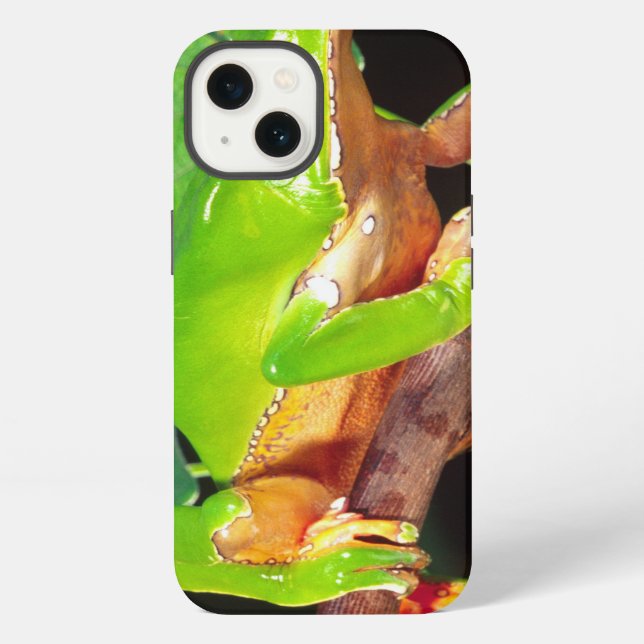 Giant Bicolor Monkey Treefrog, Phyllomedusa iPhone Case (Back)