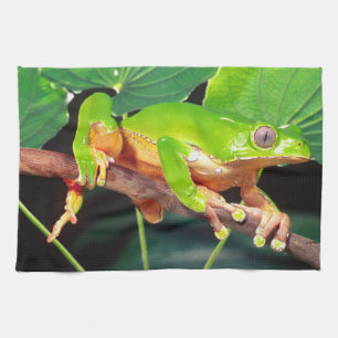 Giant Bicolor Monkey Treefrog, Phyllomedusa Kitchen Towel