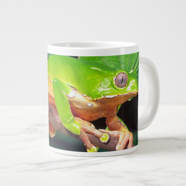 Giant Bicolor Monkey Treefrog, Phyllomedusa Large Coffee Mug (Front Right)