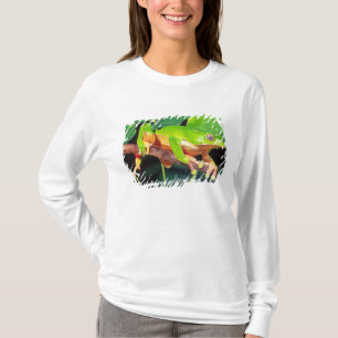 Giant Bicolor Monkey Treefrog, Phyllomedusa T-Shirt