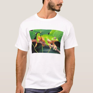 Giant Bicolor Monkey Treefrog, Phyllomedusa T-Shirt