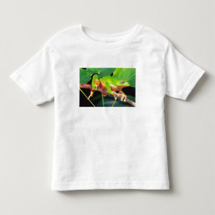 Giant Bicolor Monkey Treefrog, Phyllomedusa Toddler T-shirt