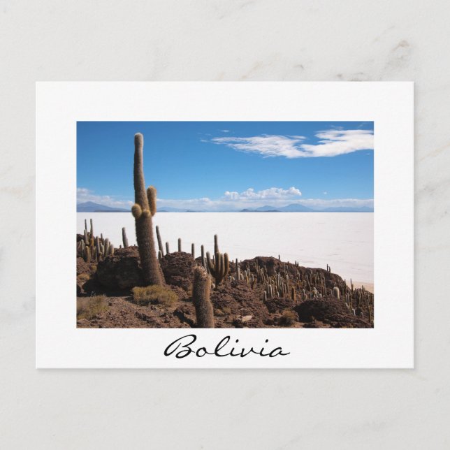 Giant cactus at the Salar de Uyuni, Bolivia Postcard (Front)