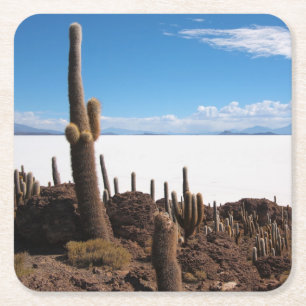 Giant cactus at the Salar de Uyuni coaster