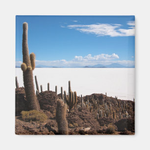 Giant cactus at the Salar de Uyuni magnet
