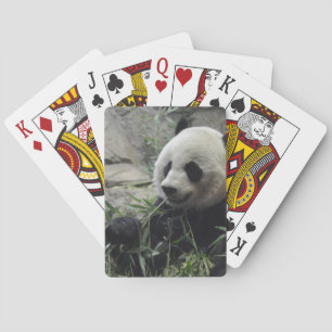 Giant Chinese Panda Bear Playing Cards