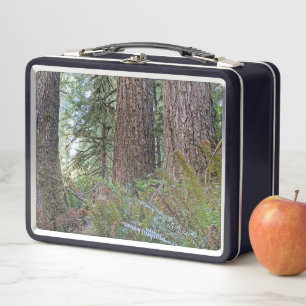 Giant Conifer Forest Photo Metal Lunch Box