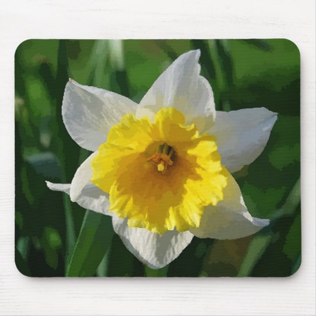 Giant Daffodil Mouse Pad (Front)
