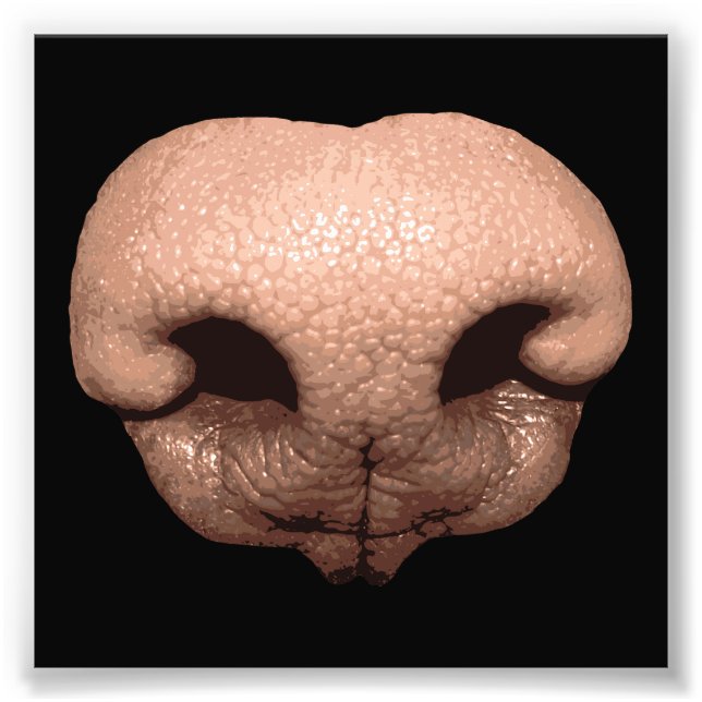 Giant Dog Nose Photo Print (Front)