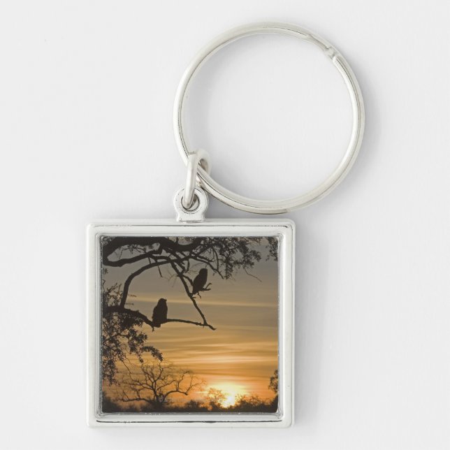 Giant Eagle Owls (Bubo lacteus) silhouetted at Keychain (Front)