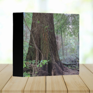 Giant Forest Conifer Tree Binder