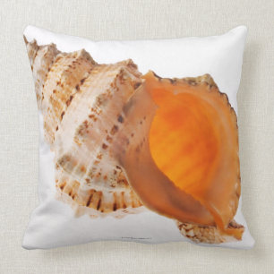 Giant Frog shell (Tutufa bubo) against white Throw Pillow