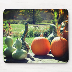 Giant Gourds And Pumpkins Nature  Mouse Pad