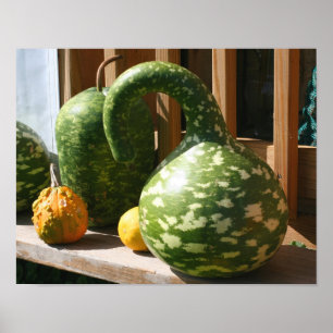 Giant Gourds Autumn Poster