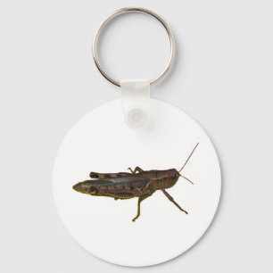 Giant Grasshopper Keychain