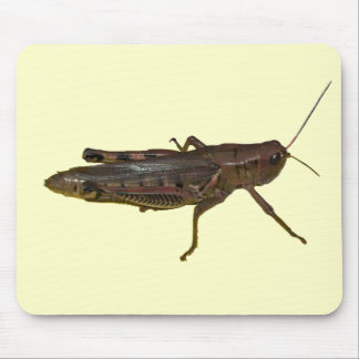 Giant Grasshopper Mouse Pad