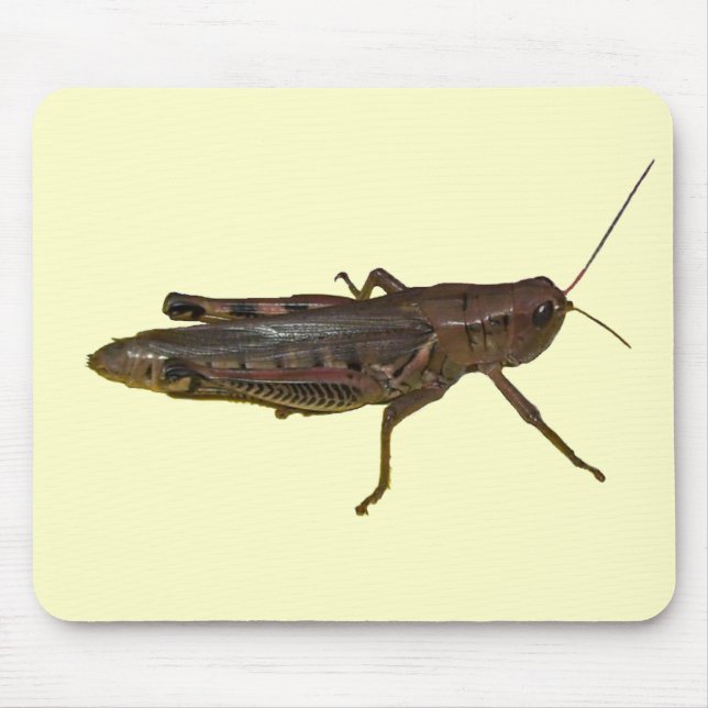 Giant Grasshopper Mouse Pad (Front)