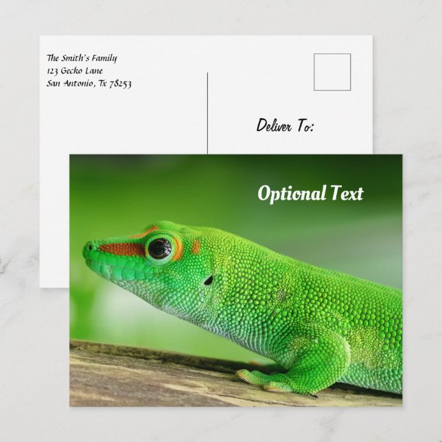 Giant Green Day Gecko Postcard (Front/Back)