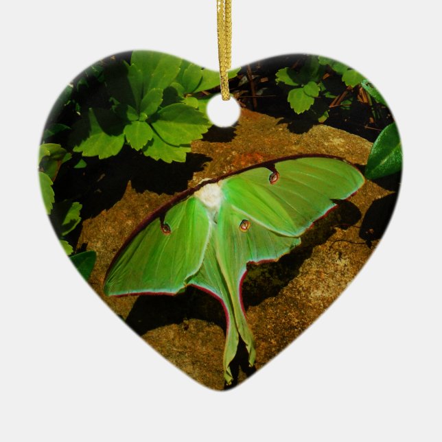 Giant Green Luna moth Ceramic Ornament (Front)