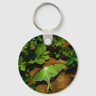 Giant Green Luna moth Keychain