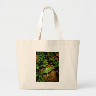 Giant Green Luna moth Large Tote Bag