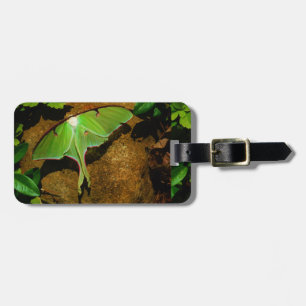 Giant Green Luna moth Luggage Tag