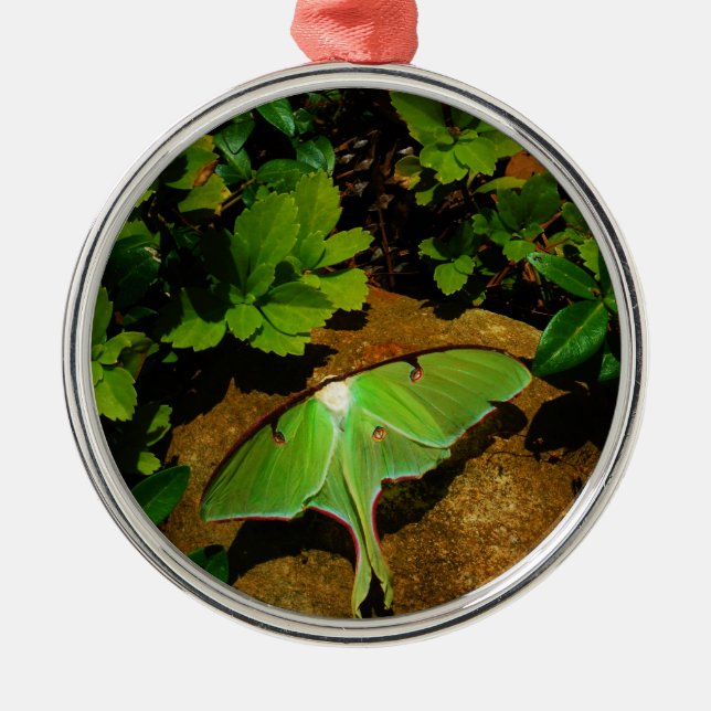 Giant Green Luna moth Metal Ornament (Front)