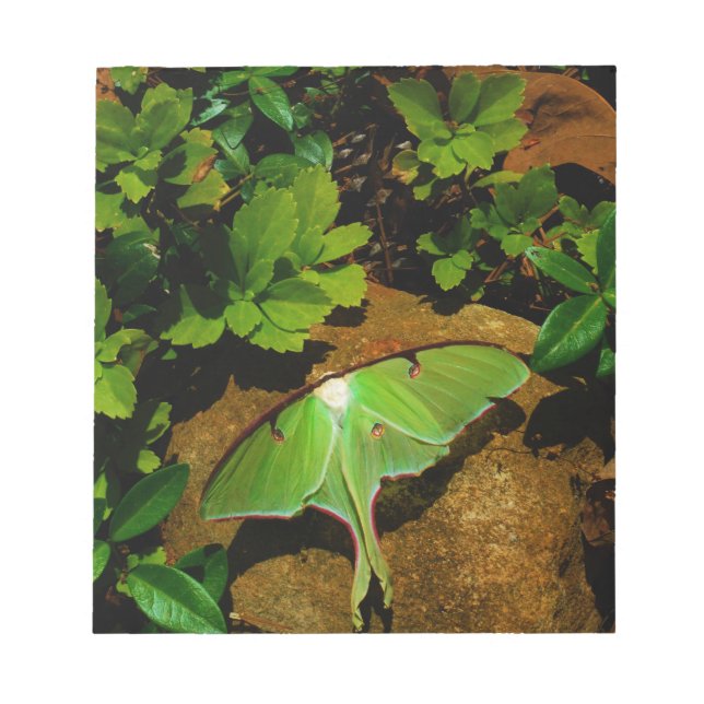 Giant Green Luna moth Notepad (Front)