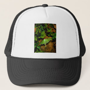 Giant Green Luna moth Trucker Hat