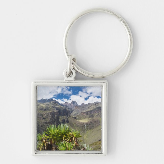 Giant Groundsel Or Dendrosenecio Keychain (Front)