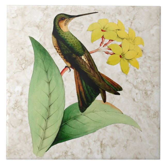 Giant Hummingbird Ceramic Tile (Front)