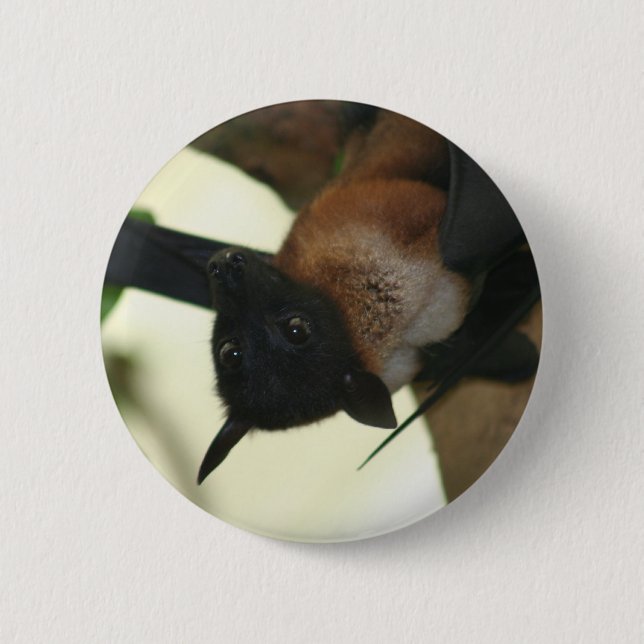 Giant Indian Fruit Bat 2 Inch Round Button (Front)