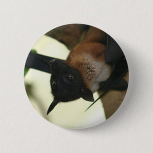 Giant Indian Fruit Bat 2 Inch Round Button