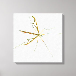 giant insect wrapped canvas