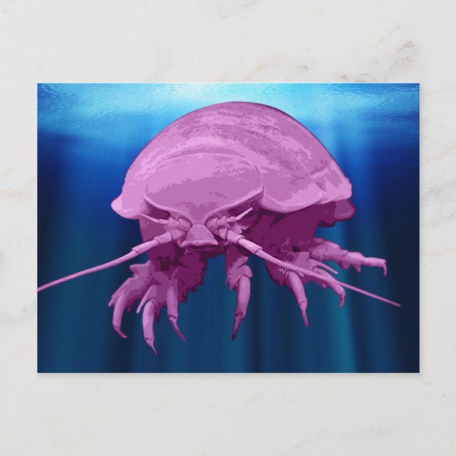 Giant Isopod Postcards (Front)