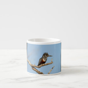 Giant Kingfisher Espresso Cup