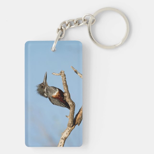 Giant Kingfisher Keychain (Back)