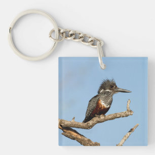 Giant Kingfisher Keychain
